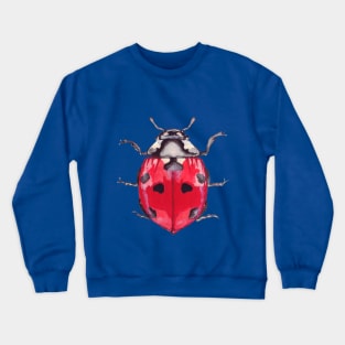 ladybug Crewneck Sweatshirt